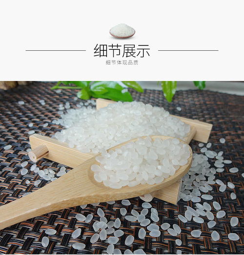 东北圆粒大米 一碗粥里的土地馈赠与商业逻辑