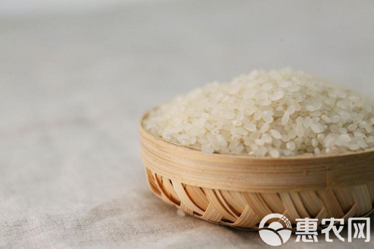 从田间到餐桌 自有基地与工厂如何成就一碗好大米