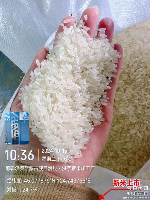 中科发5长粒香大米 科技赋能下的餐桌新宠